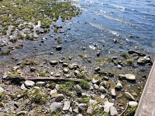 Caldo e mancanza d’acqua: il lago Maggiore sotto media ma non è ancora allarme siccità. Sotto osservazione anche il Ticino
