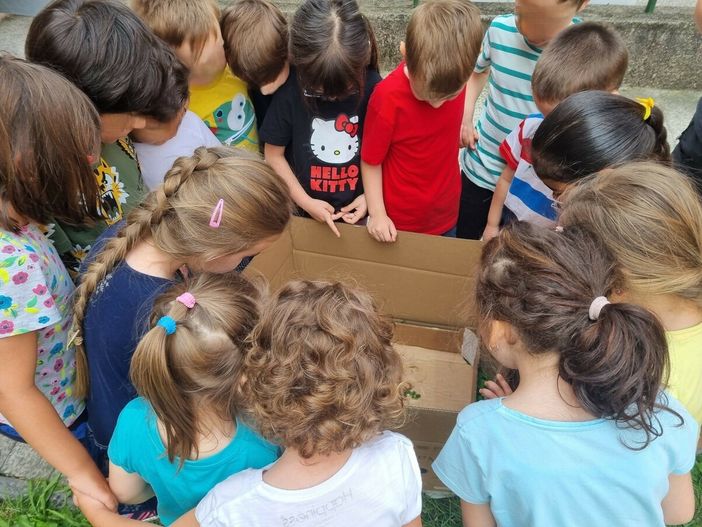 «Le maestre sono il cuore della scuola, non siamo disposti a perderle». Le lettere delle famiglie della scuola Crespi