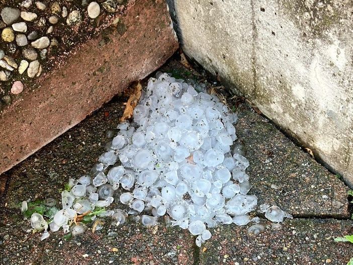 FOTO. A Marnate alberi e pali abbattuti dal maltempo. Allagata via Lazzaretto, problemi al cimitero FOTO. A Marnate alberi e pali abbattuti dal maltempo. Allagata via Lazzaretto, problemi al cimitero