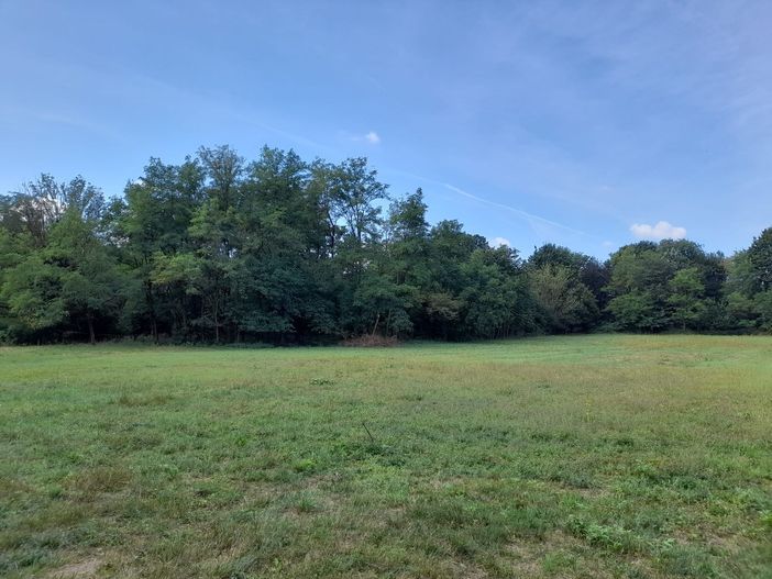 Aree verdi a Beata Giuliana, casa "designata" per il futuro ospedale Busto/Gallarate Aree verdi a Beata Giuliana, casa "designata" per il futuro ospedale Busto/Gallarate