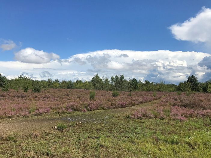 Masterplan Malpensa e Ospedale unico: la segreteria Pd convoca i circoli provinciali
