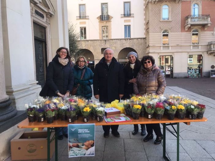 Più di 8mila e 500 primule per la giornata della vita