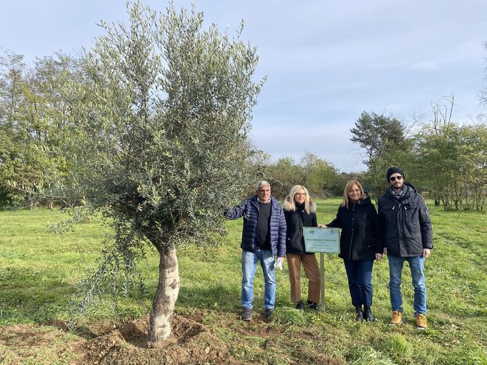 “Le radici nel domani”: cinque alberi al Parco De Curtis per celebrare i nuovi nati di Busto “Le radici nel domani”: cinque alberi al Parco De Curtis per celebrare i nuovi nati di Busto
