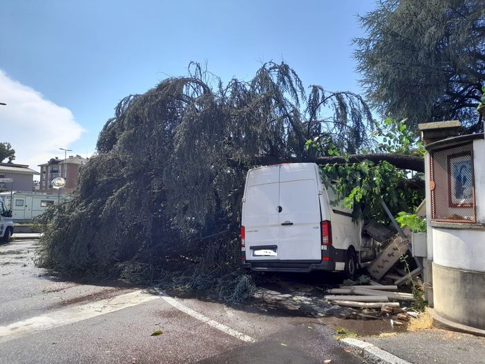 FOTO. Tempesta su Gallarate: sottopassi allagati e alberi a terra