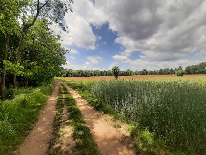 “Puliamo il Mondo” al Parco Alto Milanese