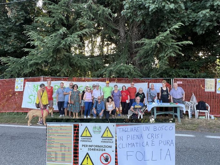 Il Comitato Salviamo gli Alberi: «Quanti animali feriti nel boschetto? Abbiamo urgenza di entrare con i veterinari» Il Comitato Salviamo gli Alberi: «Quanti animali feriti nel boschetto? Abbiamo urgenza di entrare con i veterinari»