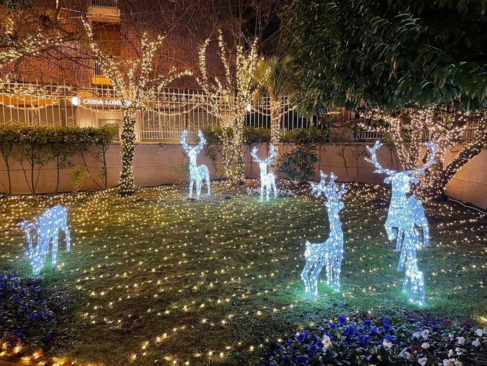 La magia del Natale prende casa, anzi luce a Busto Arsizio. VIDEO E FOTO La magia del Natale prende casa, anzi luce a Busto Arsizio. VIDEO E FOTO