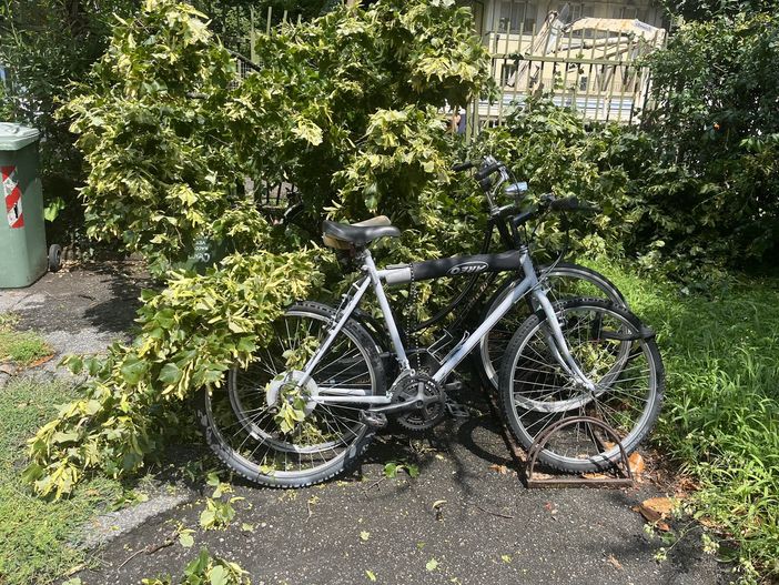 (immagine di repertorio) (immagine di repertorio)