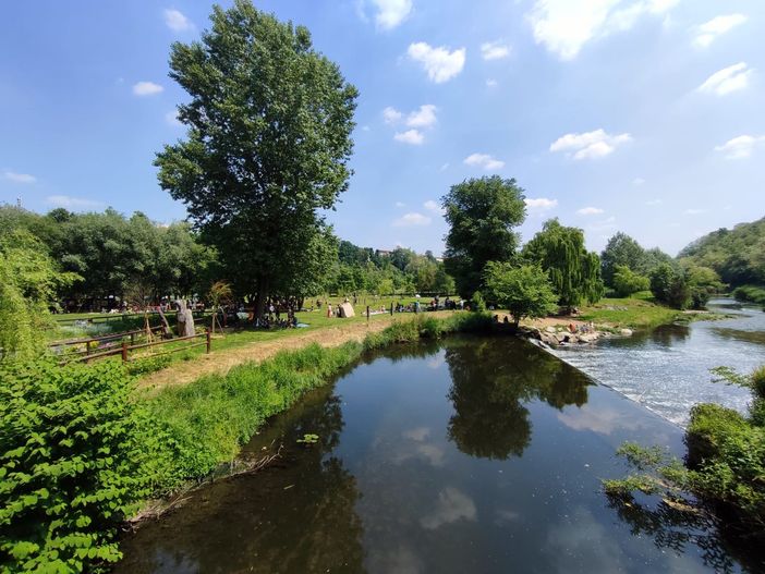Riconoscere e utilizzare le erbe della Valle Olona, tutto esaurito per il corso a Fagnano Riconoscere e utilizzare le erbe della Valle Olona, tutto esaurito per il corso a Fagnano