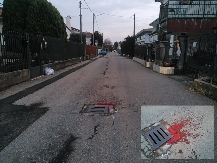 D'accordo con la Polizia locale pubblichiamo queste foto pur dolorose perché siano un messaggio per chi non ha rispetto per la vita D'accordo con la Polizia locale pubblichiamo queste foto pur dolorose perché siano un messaggio per chi non ha rispetto per la vita