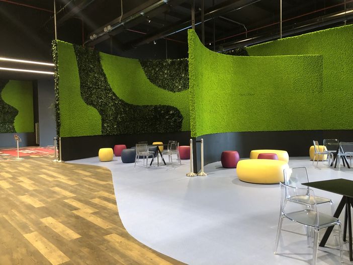 La vegetazione di Cinelandia La vegetazione di Cinelandia