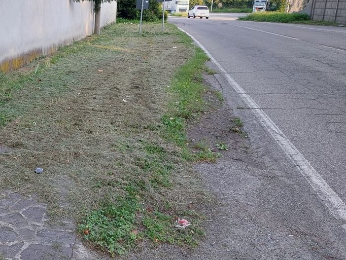 Sos verde: «A Olgiate accumuliamo sempre problemi quando basterebbe usare il buon senso» Sos verde: «A Olgiate accumuliamo sempre problemi quando basterebbe usare il buon senso»