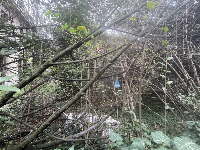 L'ex Borri trattato da pattumiera. Ma gli incivili hanno i giorni contati