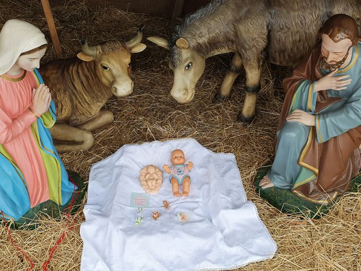 Le statuine dei parrocchiani di Borsano al posto del Gesù bambino rubato dal presepe