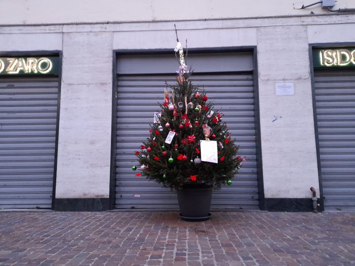 Gallarate, un albero di Natale per Luciana “Treccia” Zaro