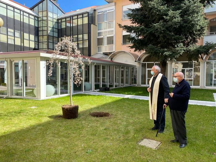 La Provvidenza mette a dimora una pianta di ciliegio nella giornata in memoria delle vittime del Covid. «Il ricordo degli anziani nei nostri cuori»