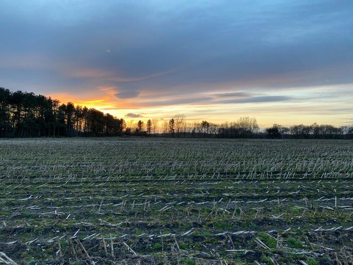 La lettrice vive nel Cheshire in Inghilterra (qui un'immagine della natura vicino a casa)