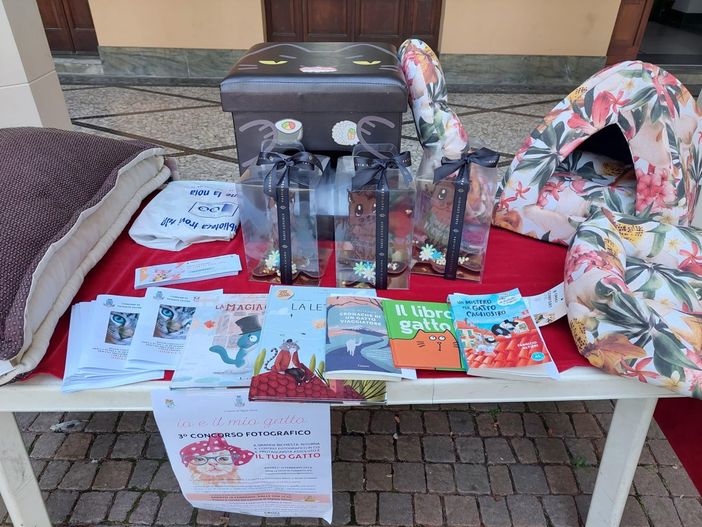 Si vota per il concorso fotografico “Io e il mio gatto”. Aiutando le colonie feline di Olgiate Si vota per il concorso fotografico “Io e il mio gatto”. Aiutando le colonie feline di Olgiate