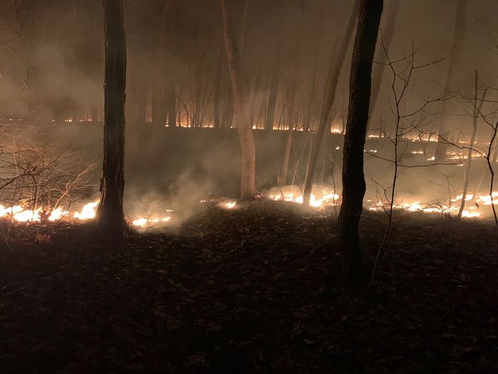 Il bosco in fiamme a Marnate