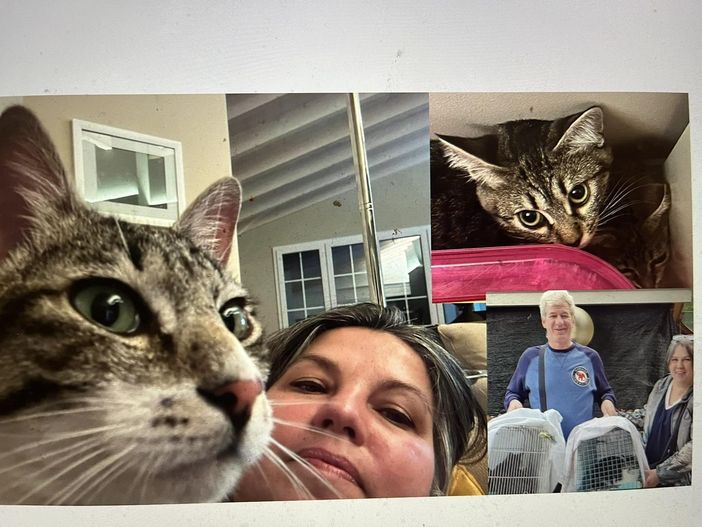 LA STORIA. «Siamo andati in 2, siamo tornati in 5». La scelta di Raffaella e Ale che ha commosso il gattile