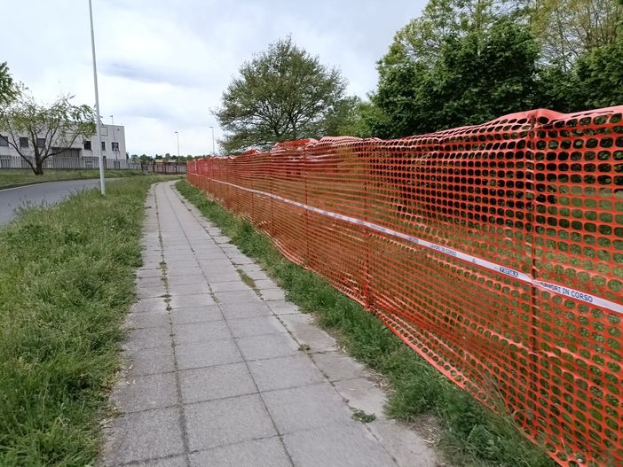 Busto, petizione online per dire no ai campi da padel e calcetto: «Salviamo l’area verde» Busto, petizione online per dire no ai campi da padel e calcetto: «Salviamo l’area verde»