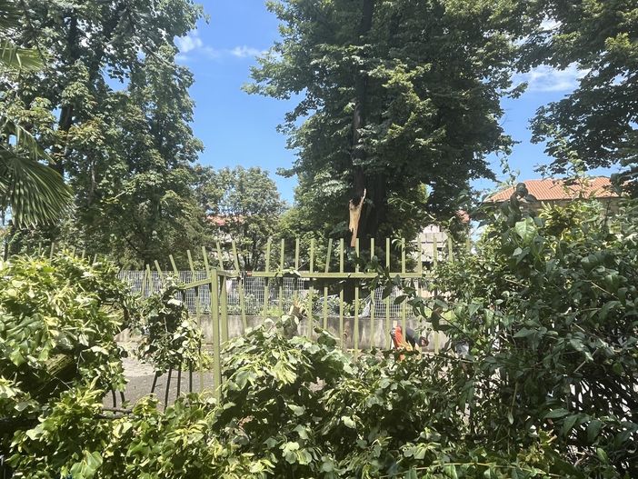 Danni per il maltempo: Busto raccoglie le segnalazioni Danni per il maltempo: Busto raccoglie le segnalazioni