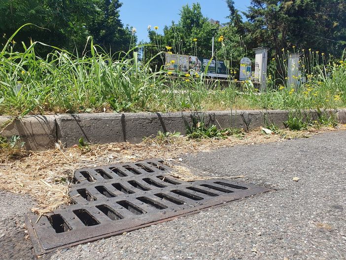 Scarafaggi a Busto, partita la disinfestazione della fognatura. Intervento su settemila tombini Scarafaggi a Busto, partita la disinfestazione della fognatura. Intervento su settemila tombini