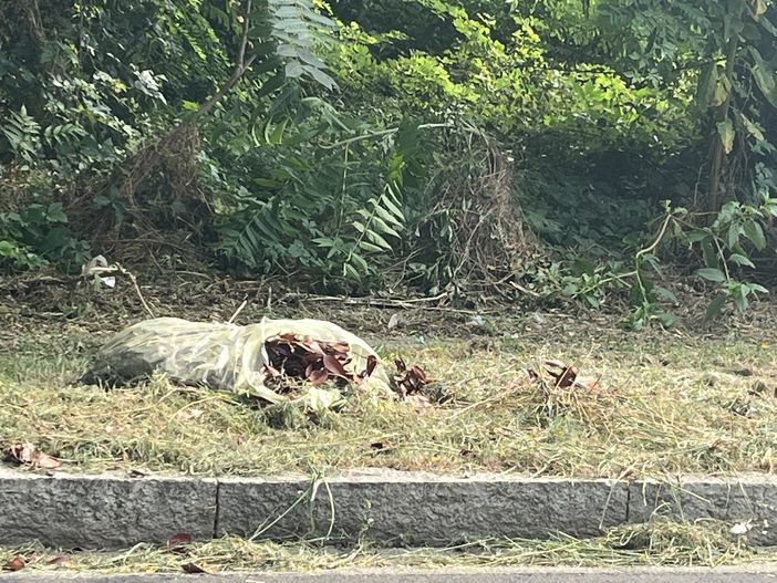 FOTO. La scia di rifiuti tra le aziende: uno smacco per la Busto laboriosa