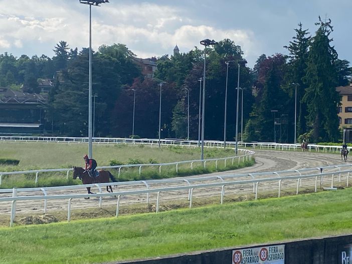 Sono tornati in pista i cavalli alle Bettole Sono tornati in pista i cavalli alle Bettole