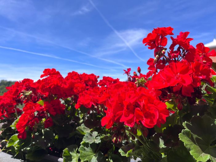METEO. Sole, massime fino a 31 gradi e prima afa: «Temperature da piena estate»