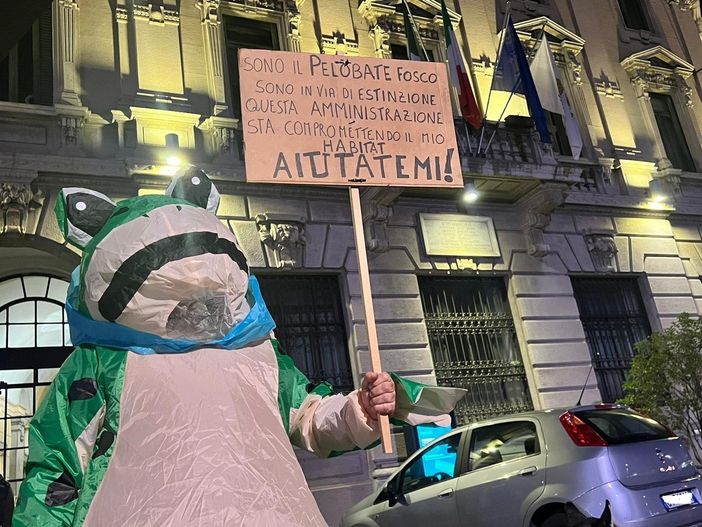 «Aiutatemi»: appello del pelobate davanti a palazzo Borghi ma sul nuovo palazzetto si tira dritto «Aiutatemi»: appello del pelobate davanti a palazzo Borghi ma sul nuovo palazzetto si tira dritto