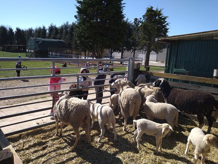 Coldiretti, Pasqua negli agriturismi varesini: prenotazioni da record tra laghi e valli