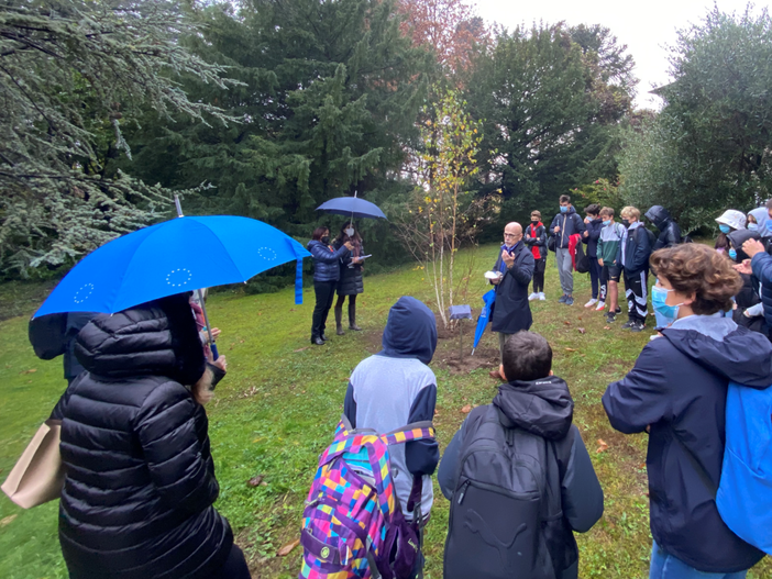 Giornata Nazionale degli Alberi, alla Scuola Europea una “Betula pubescens”