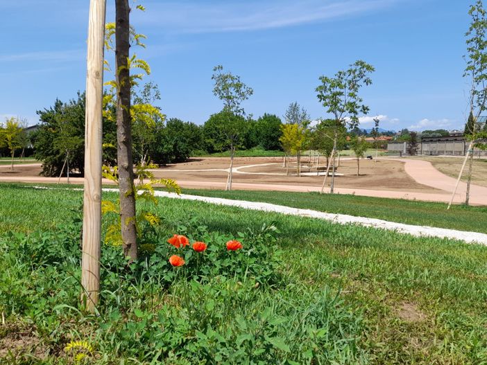 Uno scorcio dell'enorme parco di città Uno scorcio dell'enorme parco di città