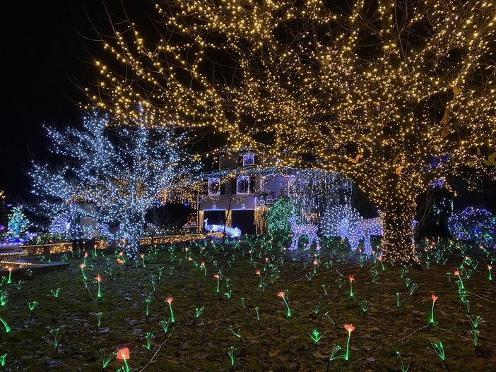 Lucine di Laveno, tra polemiche sui costi dei biglietti e qualche anticipazione sullo spettacolo. La parola alla famiglia Betti Lucine di Laveno, tra polemiche sui costi dei biglietti e qualche anticipazione sullo spettacolo. La parola alla famiglia Betti