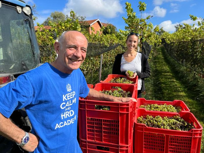 L'enologo Giovanni Caprioglio e Pascale Cazzani nelle vigne di Morazzone davanti al primo raccolto della stagione L'enologo Giovanni Caprioglio e Pascale Cazzani nelle vigne di Morazzone davanti al primo raccolto della stagione