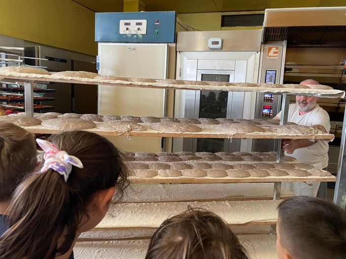 Torna la Green Week all’Istituto Maria Ausiliatrice di Castellanza Torna la Green Week all’Istituto Maria Ausiliatrice di Castellanza