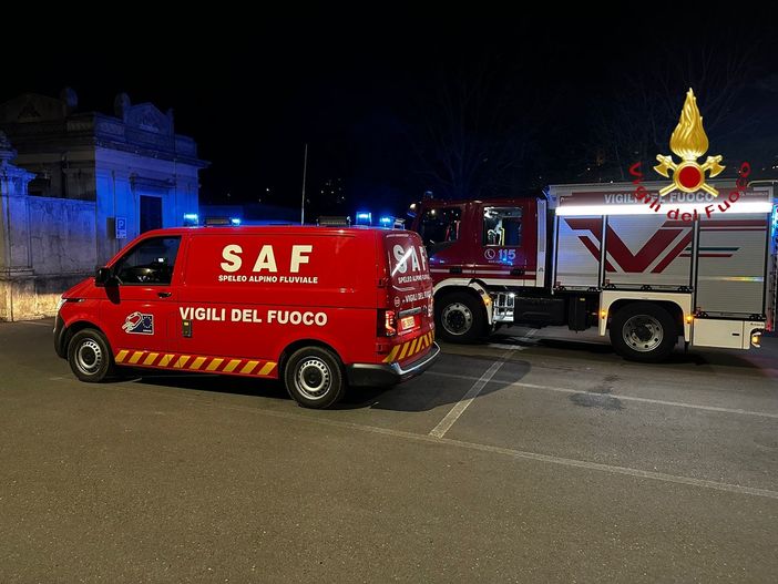 Attaccato da due cinghiali, scappa e si rifugia su un albero: recuperato dai vigili del fuoco Attaccato da due cinghiali, scappa e si rifugia su un albero: recuperato dai vigili del fuoco