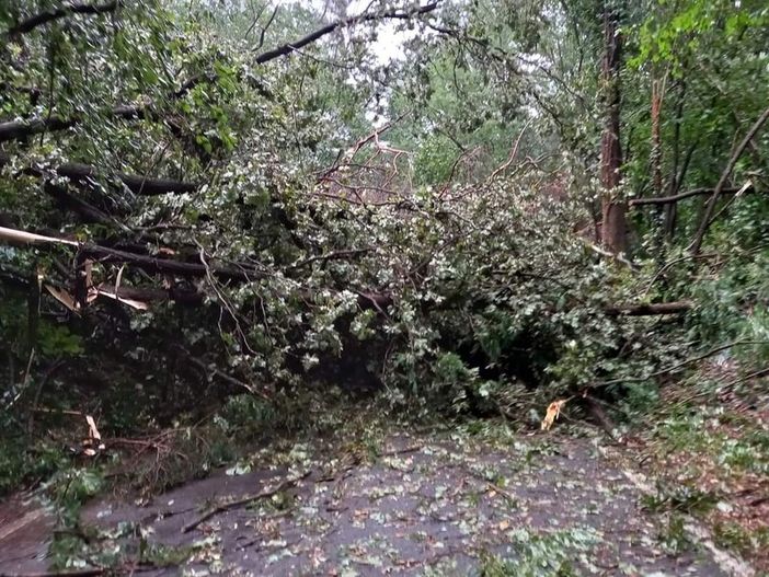 Maltempo: disagi e rallentamenti sulle linee ferroviarie, in campo anche Regione Lombardia: «Grande impegno per ripristinare il servizio»