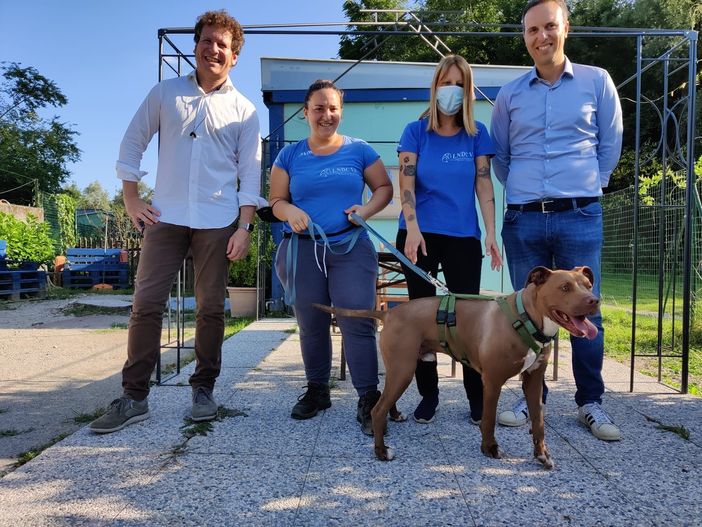 Bianchi in visita al canile di Varese: «Situazione non più procrastinabile»