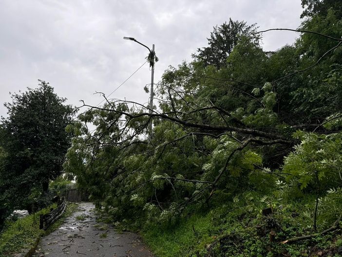 Le foto postate da Cosentino dalla strada provinciale 29, da Valganna a Cuasso al Monte, «chiusa per via delle sponde crollate» Le foto postate da Cosentino dalla strada provinciale 29, da Valganna a Cuasso al Monte, «chiusa per via delle sponde crollate»