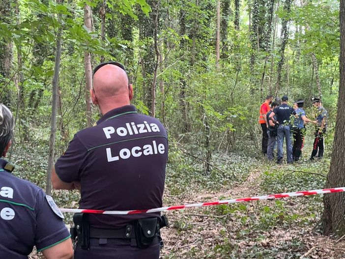 Conservazione e sviluppo: la sfida in via Curtatone. Il futuro del boschetto resta incerto
