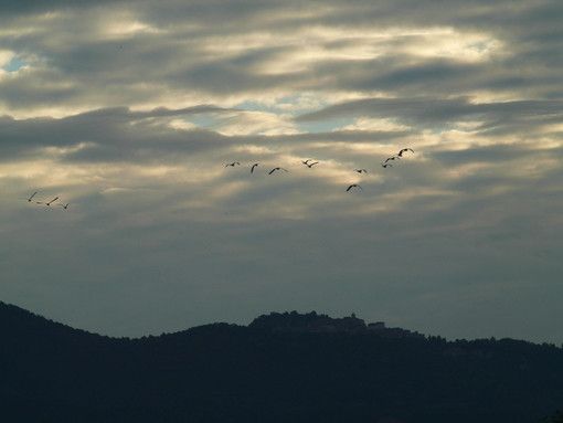 Temporali con grandine, vento forte e rischio idrogeologico: allerta nel Varesotto soprattutto domani pomeriggio Temporali con grandine, vento forte e rischio idrogeologico: allerta nel Varesotto soprattutto domani pomeriggio