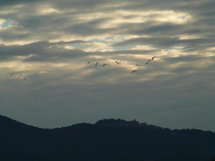 Minima di 16 gradi e altra pioggia in provincia: si respira dopo mesi di caldo e siccità. Domani torna il sole