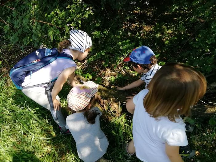 Dalla Regione 800mila euro per il potenziamento strutturale di Campo dei Fiori e Parco Pineta Dalla Regione 800mila euro per il potenziamento strutturale di Campo dei Fiori e Parco Pineta