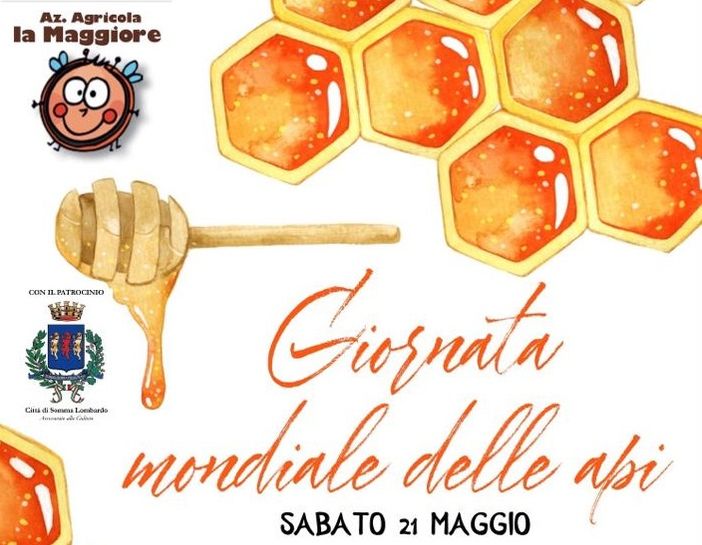 A Somma Lombardo apre un apiario didattico A Somma Lombardo apre un apiario didattico