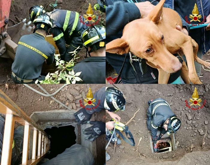 Le operazioni di salvataggio di Sicily