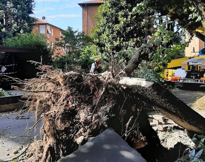 Legnano, emergenza maltempo: avviata la raccolta delle segnalazioni dei danni subiti dalla cittadinanza