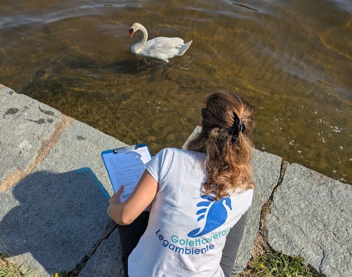 Il verdetto della Goletta dei Laghi: rimandato il lago Maggiore, promosso il Ceresio Il verdetto della Goletta dei Laghi: rimandato il lago Maggiore, promosso il Ceresio