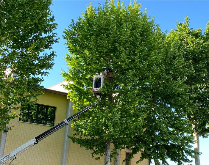 Si ringrazia Simone Orsi per la foto Si ringrazia Simone Orsi per la foto